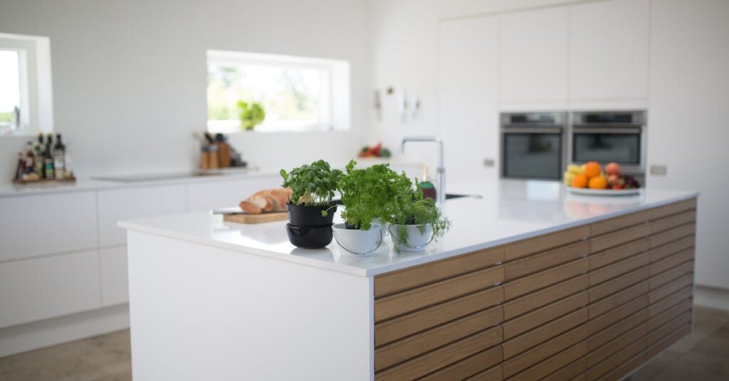 Spacious, light-filled kitchen with modern design and fresh herbs on the counter.